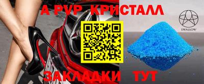 крисы Кунгур