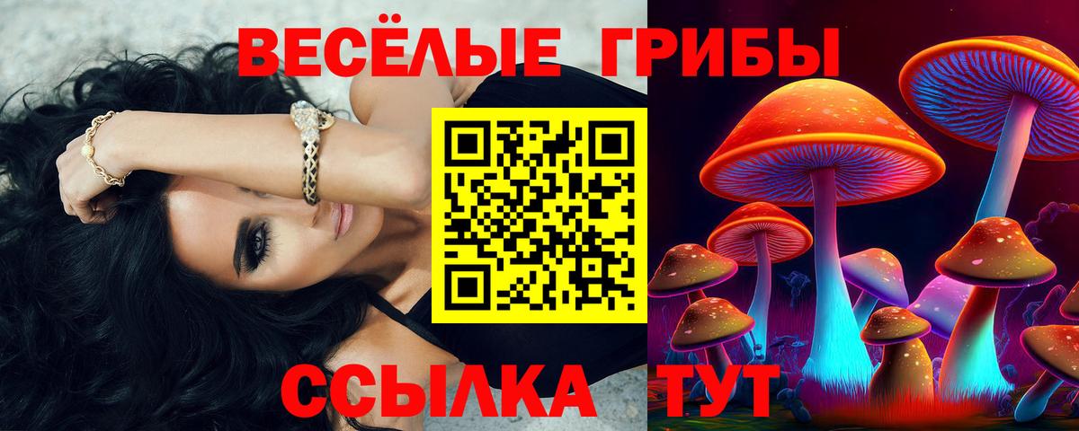 Галлюциногенные грибы GOLDEN TEACHER  Вход с VPN  дарнет шоп  Ипатово 